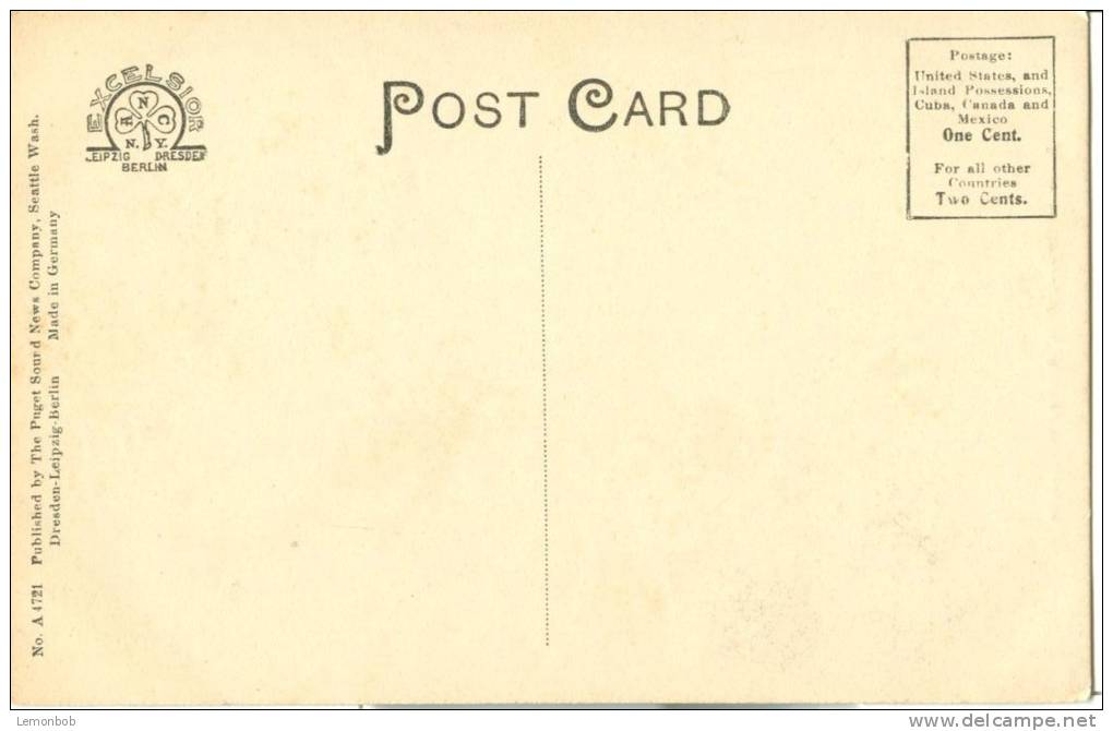 USA – United States – Scene In Ravenna Park, Seattle, Washington, Early 1900s Unused Postcard [P6260] - Seattle