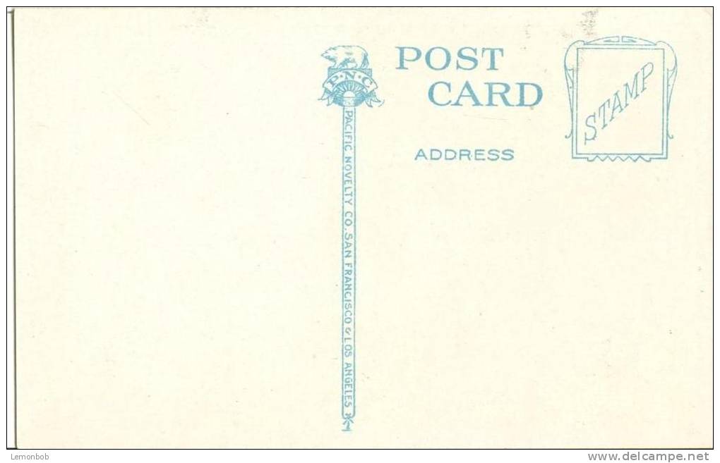 USA – United States – Ashland Creek In Chatauqua Park, Ashland, Oregon, Early 1900s Unused Postcard [P6317] - Otros & Sin Clasificación