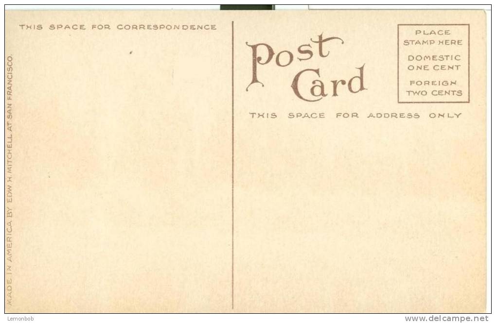 USA – United States – On The Willamette River, Oregon, Early 1900s Unused Postcard [P6371] - Autres & Non Classés