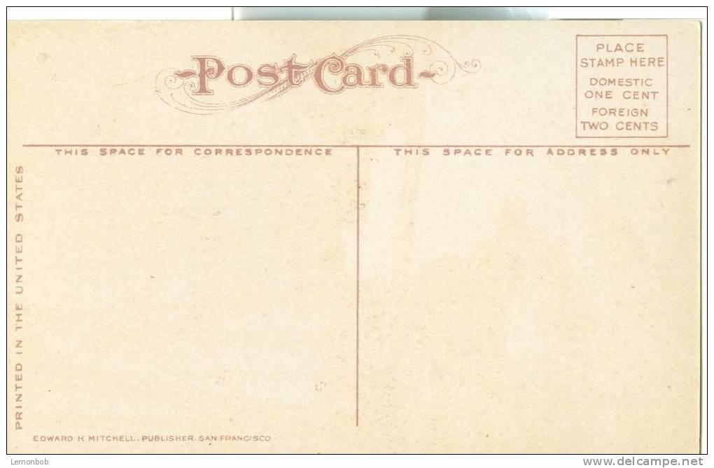 USA – United States – Ashland Creek Canyon, Oregon, Around 1910 Unused Postcard [P6376] - Andere & Zonder Classificatie