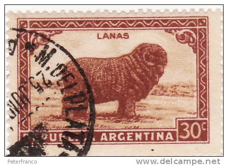 Argentina - Lanas - Vaches