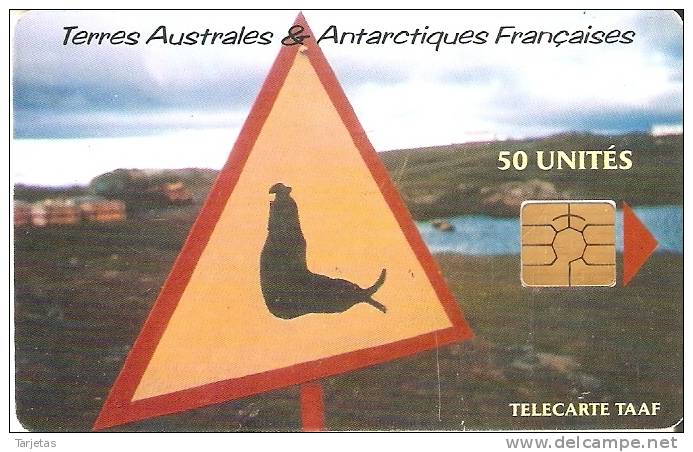 TARJETA DE TAAF ATTENTION ELEPHANT DE MER 50U TIRAGE 1500 - TAAF - Terres Australes Antarctiques Françaises