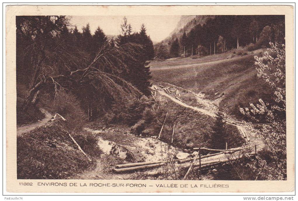 11882   ENVIRONS  DE  LA  ROCHE-SUR-FORON  -  VALLEE  DE  LA  FILLIERES - La Roche-sur-Foron