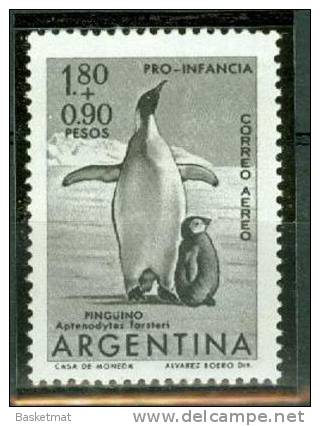 ARGENTINE PINGOUINS - Pinguini