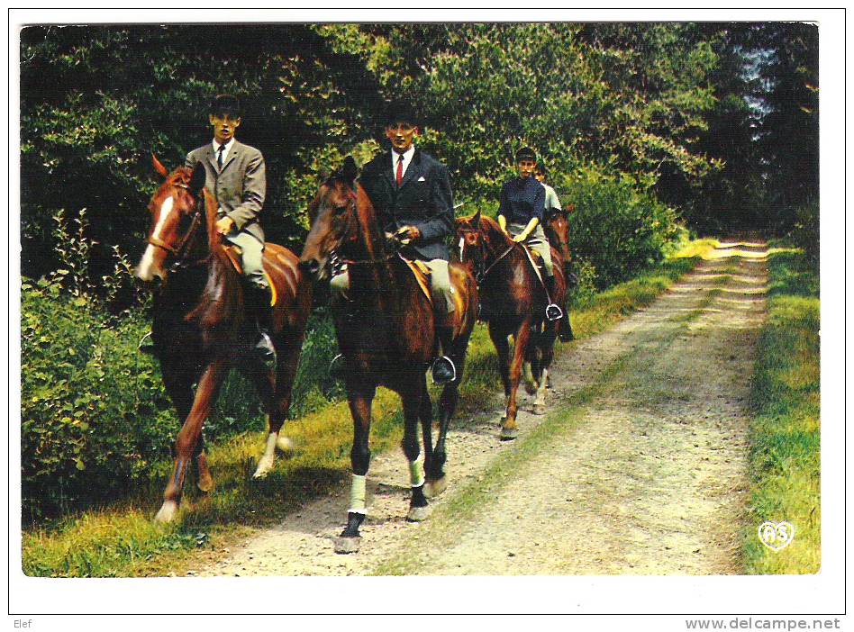 Hippisme / Cheval: Promenade Equestre , Vers CHAUMONT, Haute-Marne; 1977; B/TB - Hípica