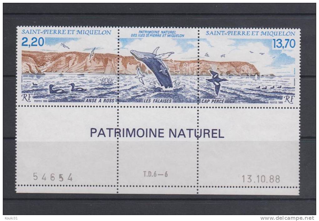 SPM YT 495A ** Coin Daté : Canard , Falaise , Baleine - 1988 - Neufs