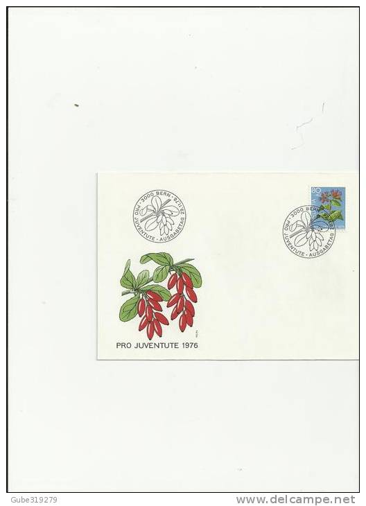 SWITZERLAND PRO JUVENTUTE 1976 - FDC  MILLER NR.1086  (1 STAMP) POSTMARKED 29/11/1976 REF 7 PR JU - Lettres & Documents