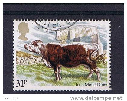 RB 773 - GB 1984 - British Cattle Irish Moiled Cow 31p  - Fine Used Stamp - Animals Cows Theme - Cows