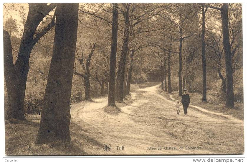 TILFF-ALLEE DU CHATEAU DE COLONSTER - Esneux