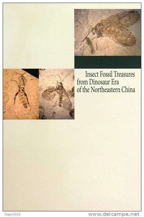 [Y59-059  ]  Insect    Fossil   , Postal Stationery -- Articles Postaux -- Postsache F - Fossiles