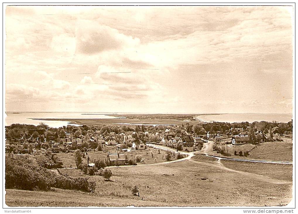 AK 23281 KLOSTER (Hiddensee) Inselblick 21.10.81 Nach Stadthagen Mit 1 X 20 PF Und 1 X 10 PF DDR  Abgestempelt. - Hiddensee