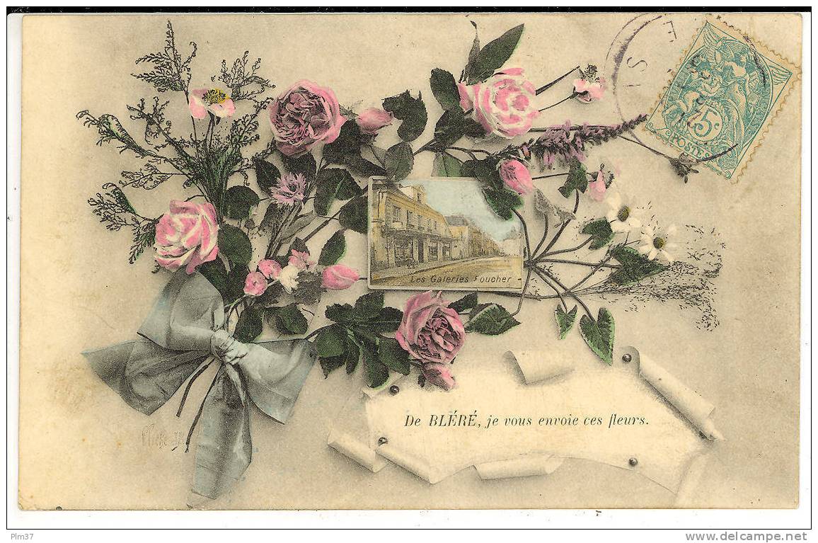 BLERE - Carte Souvenir Fantaisie - Bléré