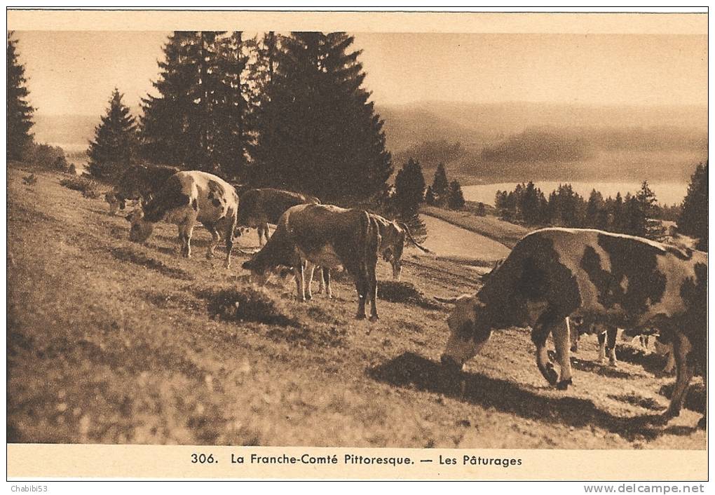 CPA - La Franche-Comté Pittoresque - Les Pâturages - Franche-Comté