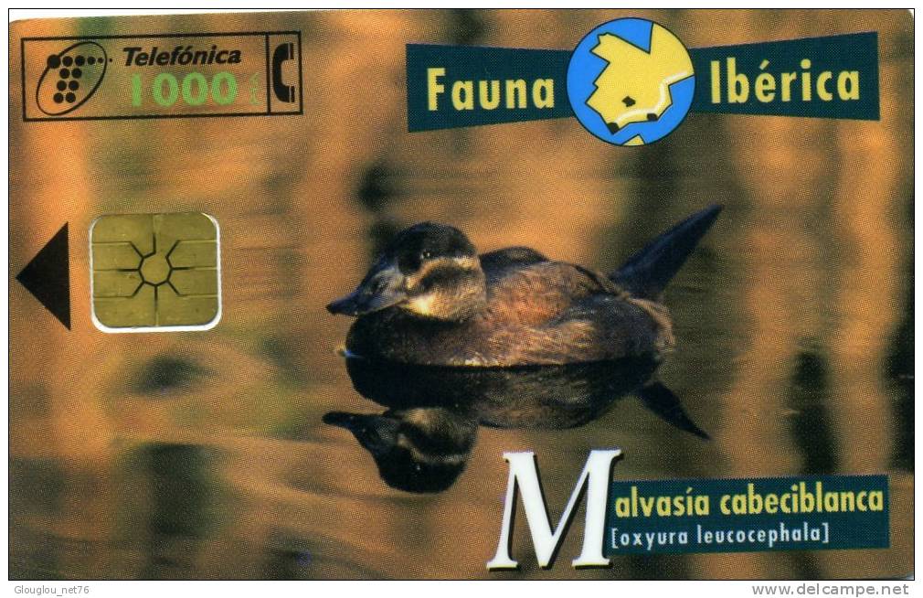 TELECARTE UTILISEE ....FAUNE IBERIQUE.....MALVASIA CABECIBLANCA...VOIR PHOTO SCANNEE - Verzamelingen