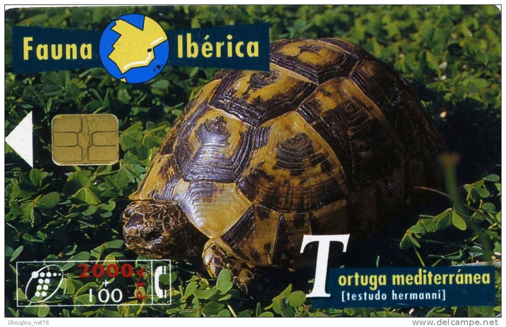 TELECARTE UTILISEE ....FAUNE IBERIQUE.....TORTUGA MEDITERRANEA.....VOIR PHOTO SCANNEE - Sammlungen