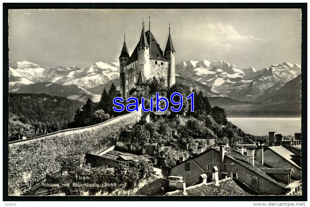 Thun - Thoune -  Schloss Mit Blüemlisalp (3669 M ) -  Réf : 19654 - Thoune / Thun