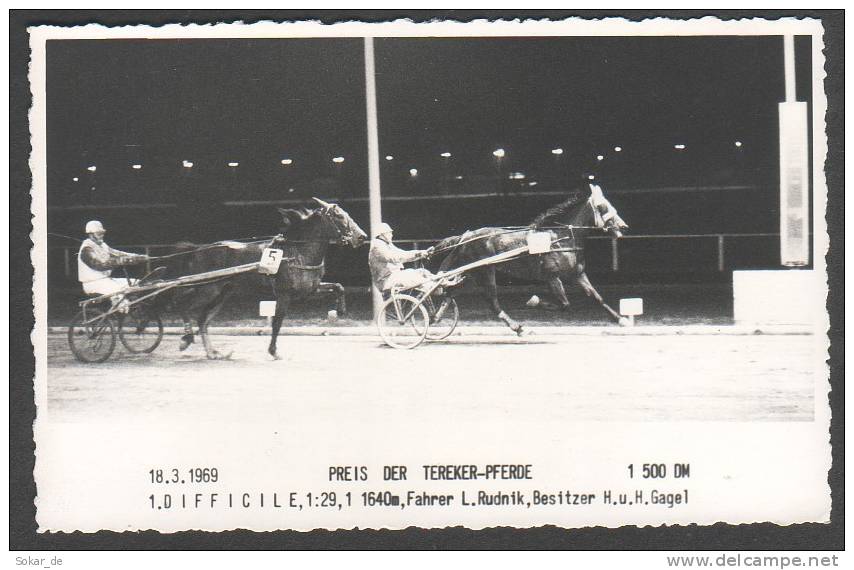 AK Trabrennen Trabersport Preis Der Tereker-Pferde 1969, Difficile, Fahrer L. Rudnik Horses - Horse Show