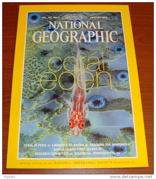 National Geographic U.S. January 1999 Coral Eden Coral In Peril Lawrence Of Arabia Tracking The Anaconda Baffin Island - Travel/ Exploration