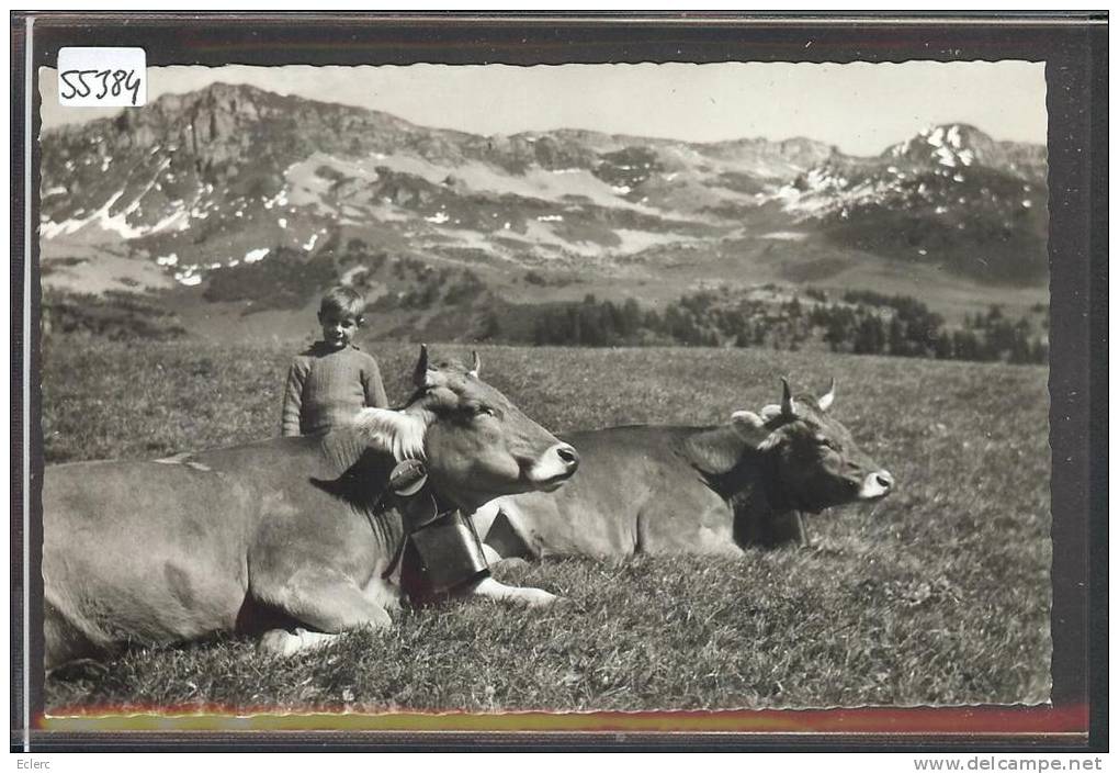 HIDYLLE CHAMPÊTRE - VACHES - TB - Cham