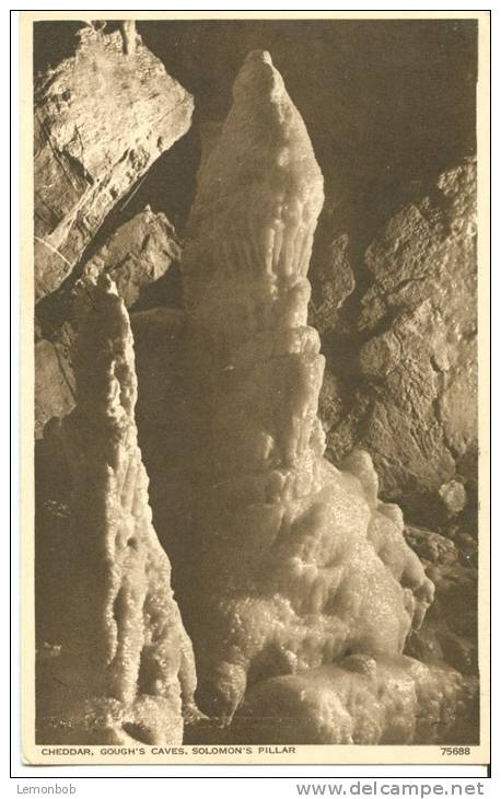 UK, United Kingdom, Cheddar, Gough's Caves, Solomon's Pillar, Early 1900s Unused Postcard [P7397] - Cheddar