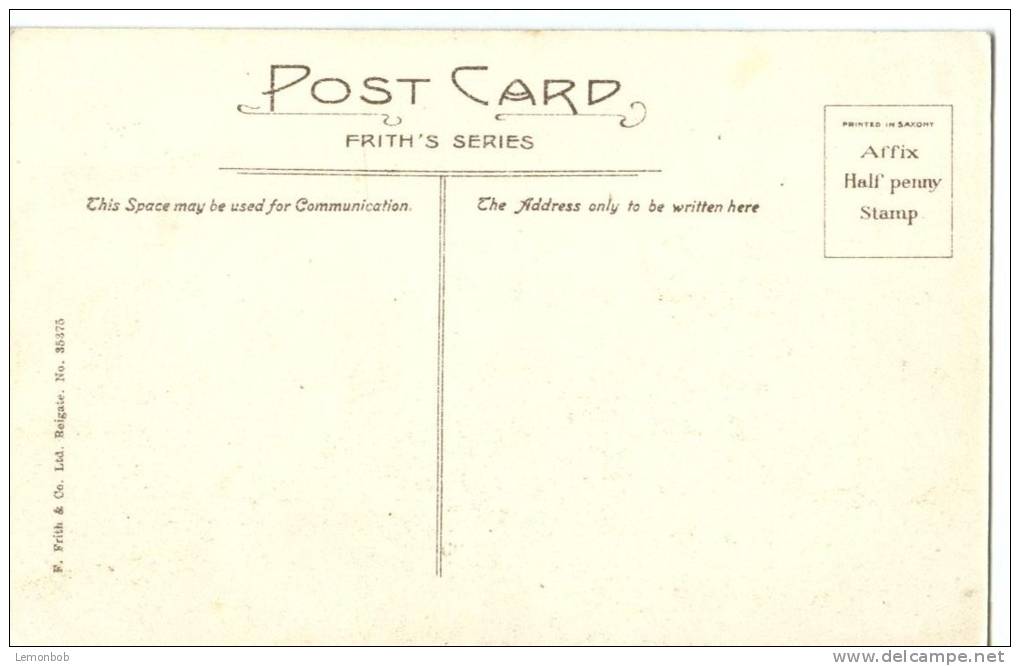 UK, United Kingdom, Windsor Castle From Home Park, Early 1900s Unused Postcard [P7470] - Windsor Castle