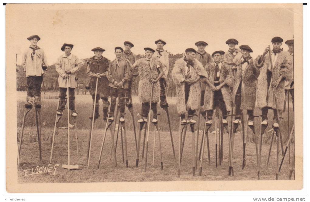 CPA - (40) Groupe D'échassiers  - Castets Des Landes - Castets