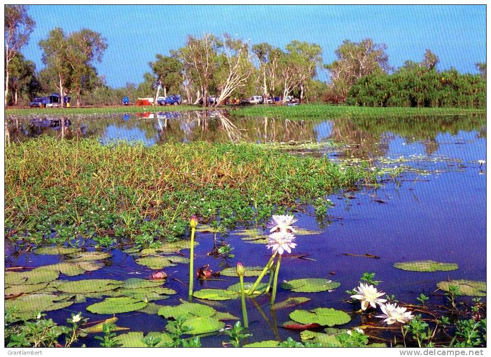 Yellow Waters, Kakadu National Park, Northern Territory - Unused Barker Souvenirs - Kakadu