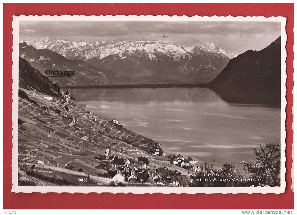 B1299 Epesses Et Les Alpes Vaudoises,Lavaux,mention Manuscrite:Chexbres,Léman.Cachet 1958.Perrochet 10853 - Épesses