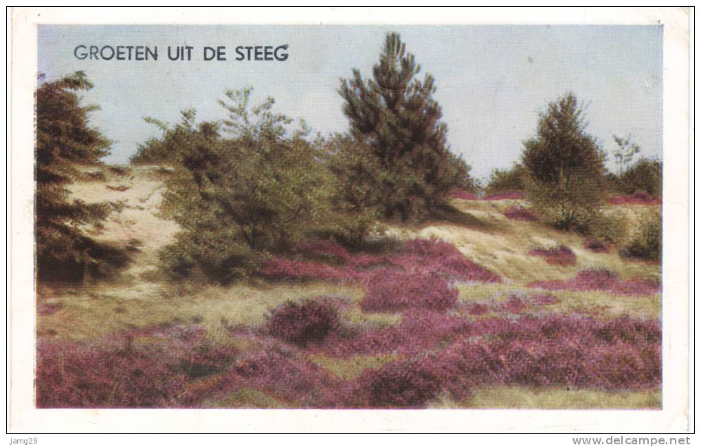 Nederland/Holland, De Steeg, Groeten Uit De Steeg, 1958 - Rheden