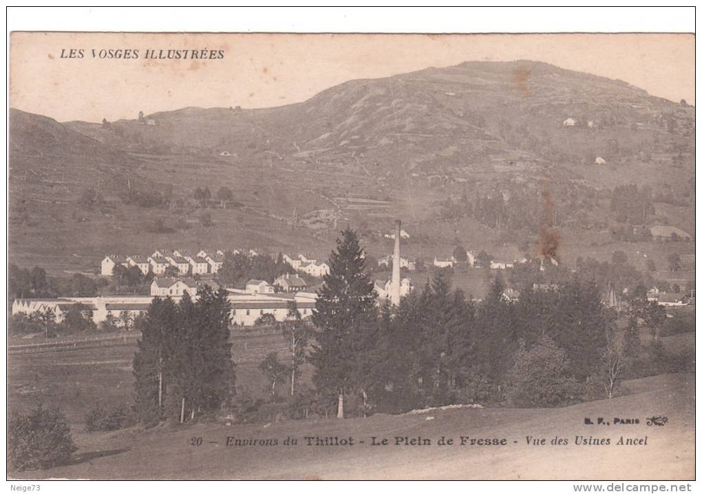 Cpa Des Vosges - Le Thillot Dans Son Nid - Le Thillot