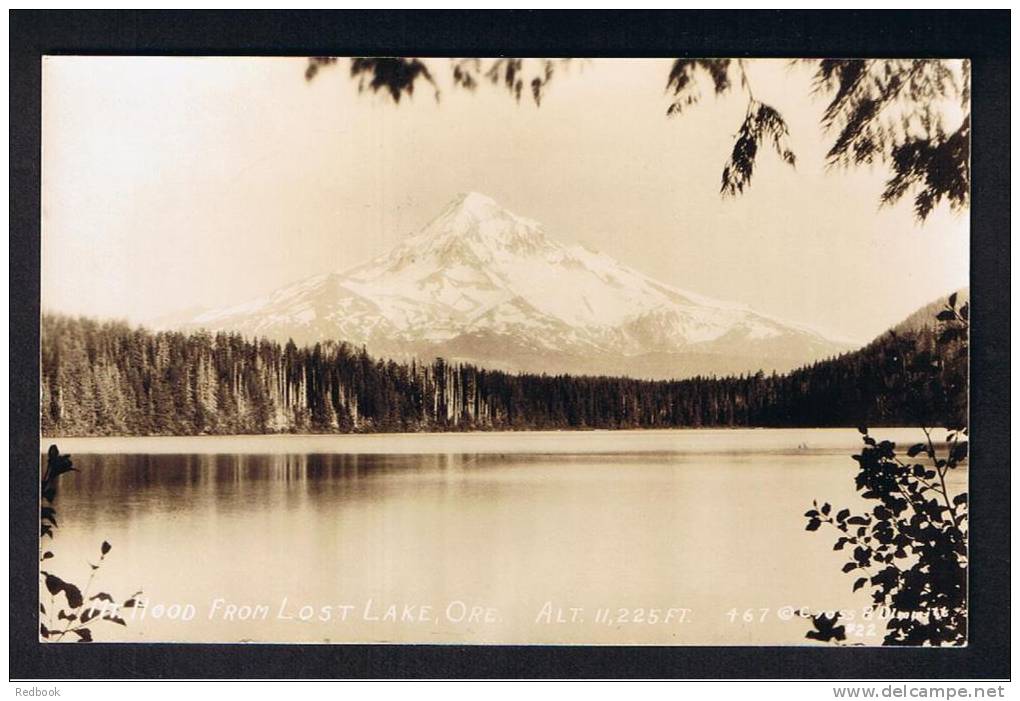 RB 788 - Real Photo Postcard - Mount Hood From Lost Lake Oregon USA - Otros & Sin Clasificación