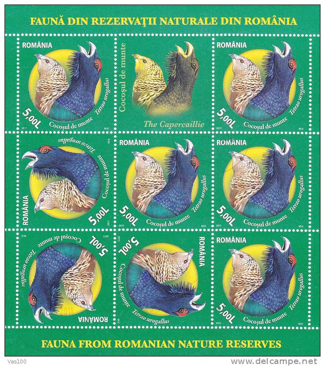 BIRDS,CHIENS  2011 USED  4X MINISHEET 8 STAMPS + LABELS ROMANIA. - Gebraucht