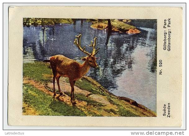 Victoria (1937) - 520 - Sweden, Sverige, Götenborg, Deer, Cerf - Victoria