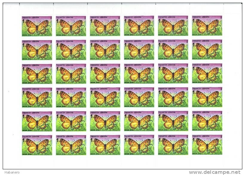 UZBEKISTAN 1992 Mi 2 BUTTERFLY FULL MINT SHEET ** 36 STAMPS - Uzbekistan