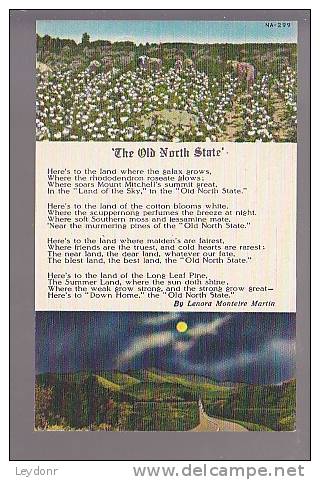 The Old North State By Lenora Monteire Martin  - Pub. By Ashville Post Card Co., Ashville, N.C. - Rutas Americanas