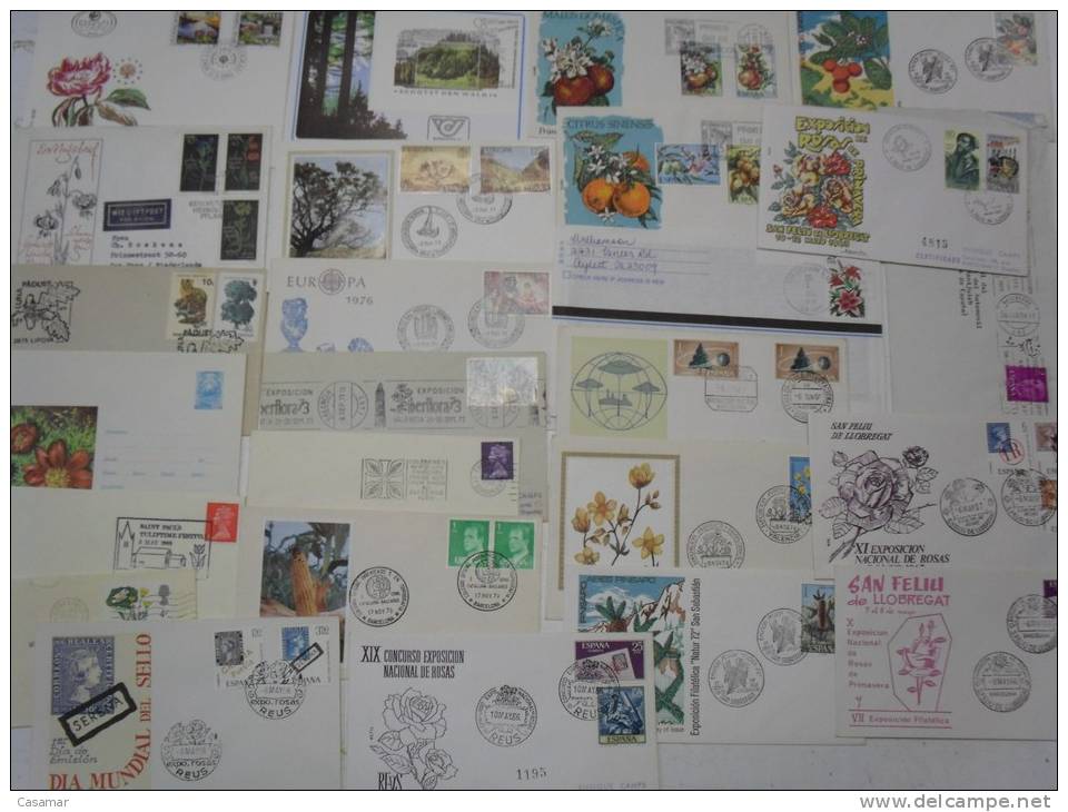 FLORA 100 Postal History Different Items SPECIAL OFFER : NO POSTAGE MAIL FREE COSTS !!!!!!!!!!!! Collection Lot - Collections (en Albums)