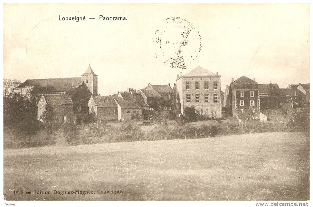 Louveigné Panorama Edit. Dogniez Magnée N° 11925 - Sprimont