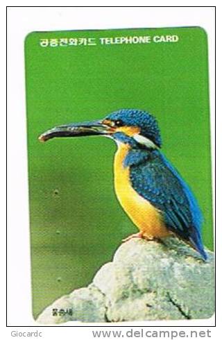 COREA DEL SUD (SOUTH KOREA)  - KOREA TELECOM (AUTELCA)  - 1994 BIRDS: KINGFISHER - USED  -  RIF. 1835 - Pájaros Cantores (Passeri)