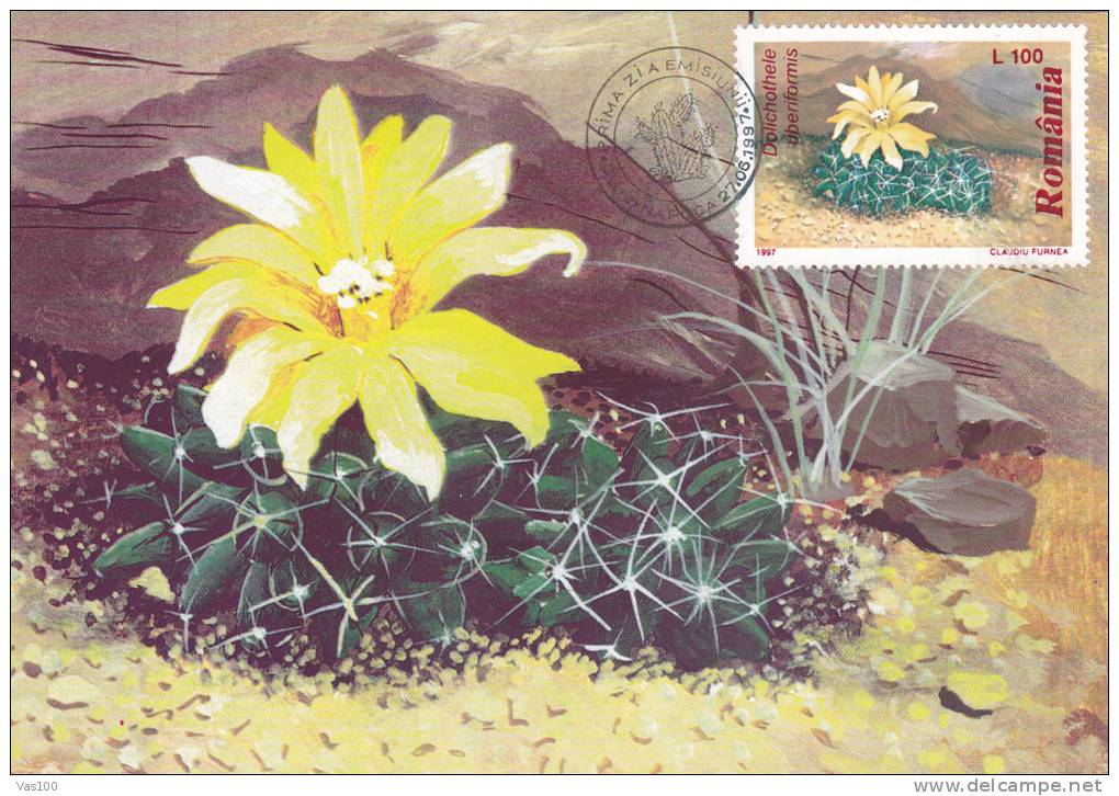 CACTUSSES,CACTUS 1997 CM,MAXICARD,CARTES MAXIMUM,obliteration FDC,PREMIER JOUR, Romania. - Cactus