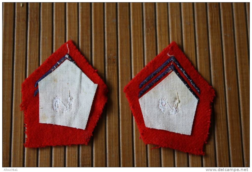 MILITARIA BLASON ECUSSON MILITAIRE BRODE EN TISSU 19 E REGIMENT  NATIONALE  DE FRANCE ROUGE BLEU OR - Patches