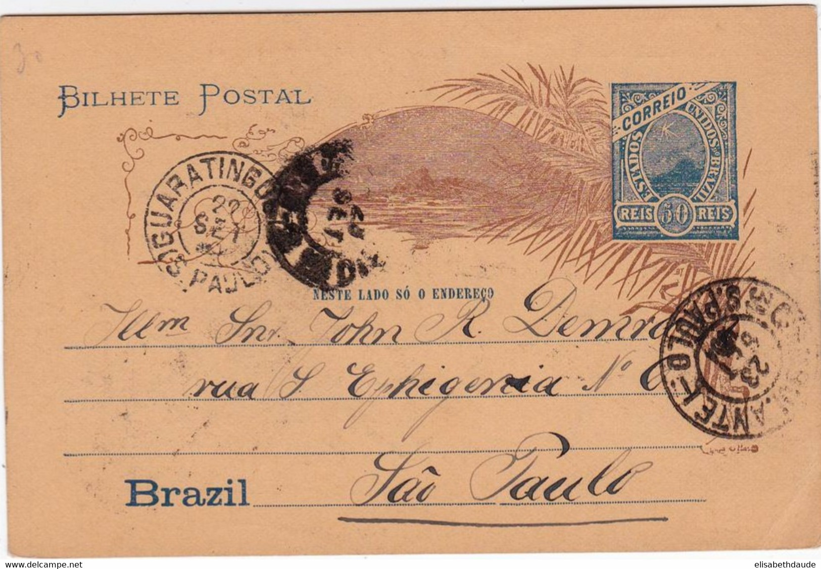 BRESIL - ENTIER POSTAL - 1904 - CARTE POSTALE De GUARATINGUETA Pour SAO PAULO - Postal Stationery