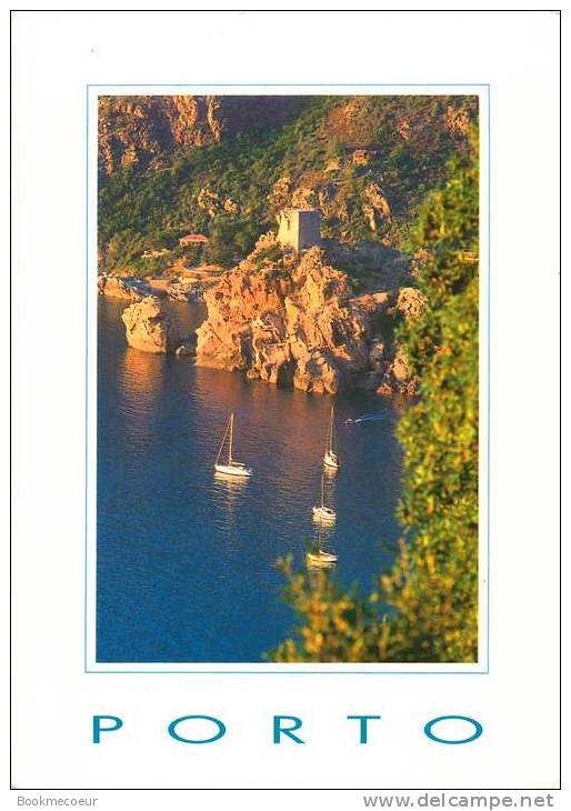 CORSE  LOT DE 4 CARTES   PORTO  LES ABORDS DU GOLFE...... - Corse