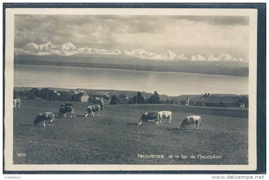 Vaud, P - Provence Et Le Lac De Neuchâtel, Vaches, - Provence