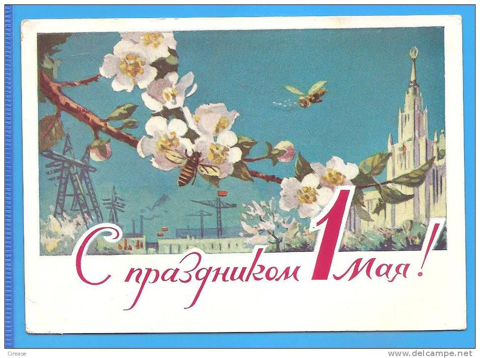 Bees, Pollination RUSSIA URSS Postal Stationery Postcard 1961, 3 Scan Very Rare - Abeilles