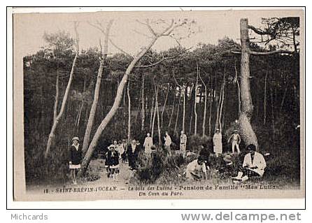 CPA 44 SAINT BREVIN L OCEAN - Le Bois Des Lutins - Pension De Famille Mes Lutins - Un Coin Du Parc - Saint-Brevin-l'Océan