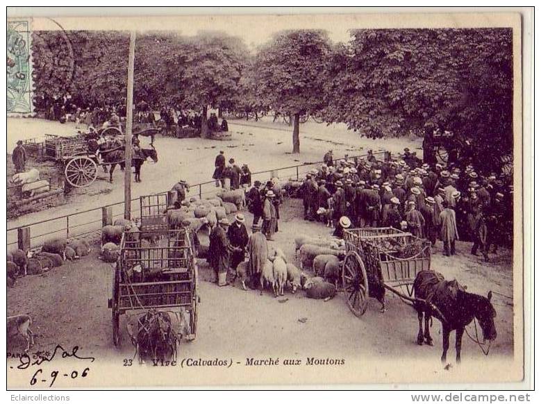 Vire        14      Le  Marché Aux Moutons - Vire