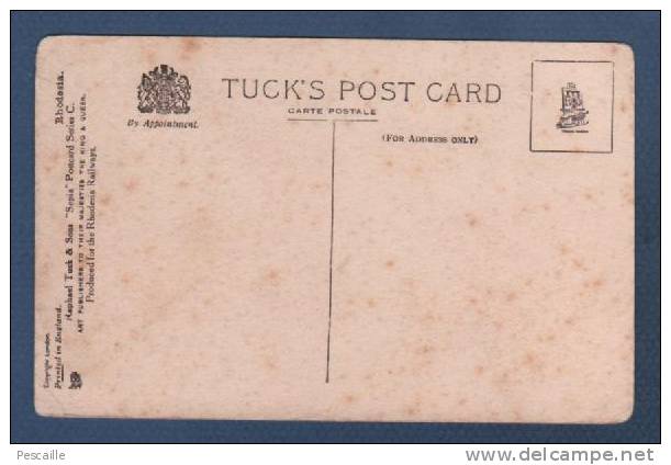 ZIMBABWE - CP ALAN WILSON MEMORIAL - MATOPOS - RAPHAEL TUCK & SONS SEPIA POSTCARD SERIES C. RHODESIA - Simbabwe