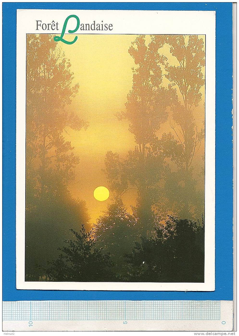 MT274 - Coucher De Soleil Sur La FORET LANDAISE Landes (voir DescrIption 2 Scan)  Ed. COMPA Carterie Aix - Circulé 2003 - Contre La Lumière