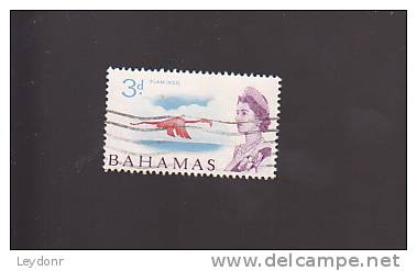 Bahamas - Flamingo - Scott # 208 - Bahamas (1973-...)