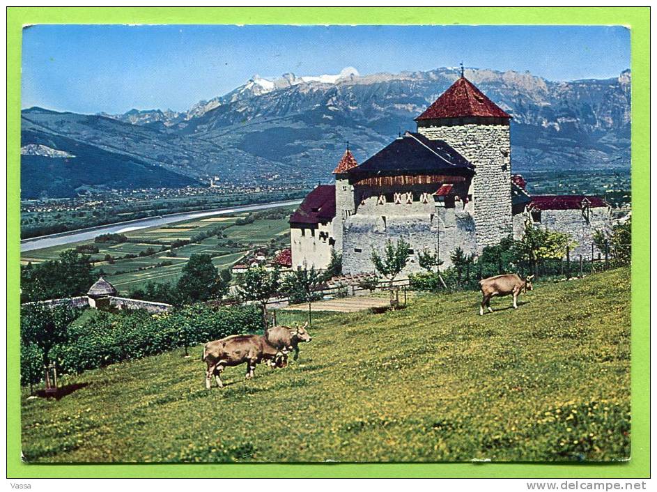 Liechtenstein Schloss Castle Château Vaduz Rheintal Rhine Valley . Vaches , Cows - Liechtenstein